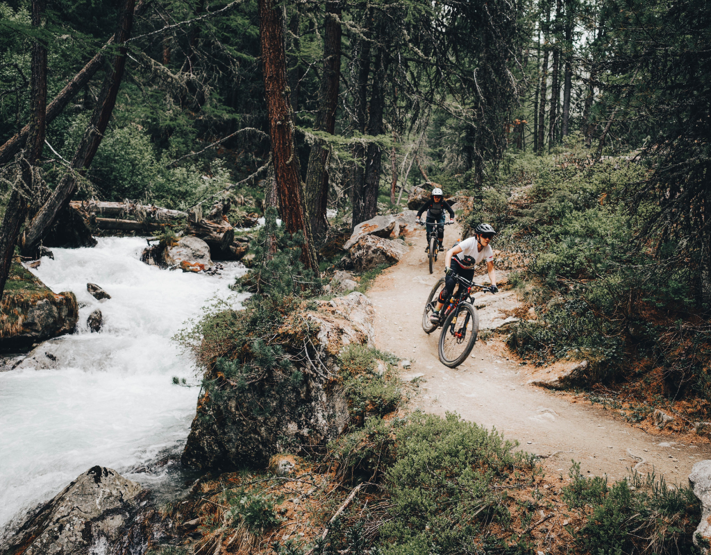 Buy used Trail bikes